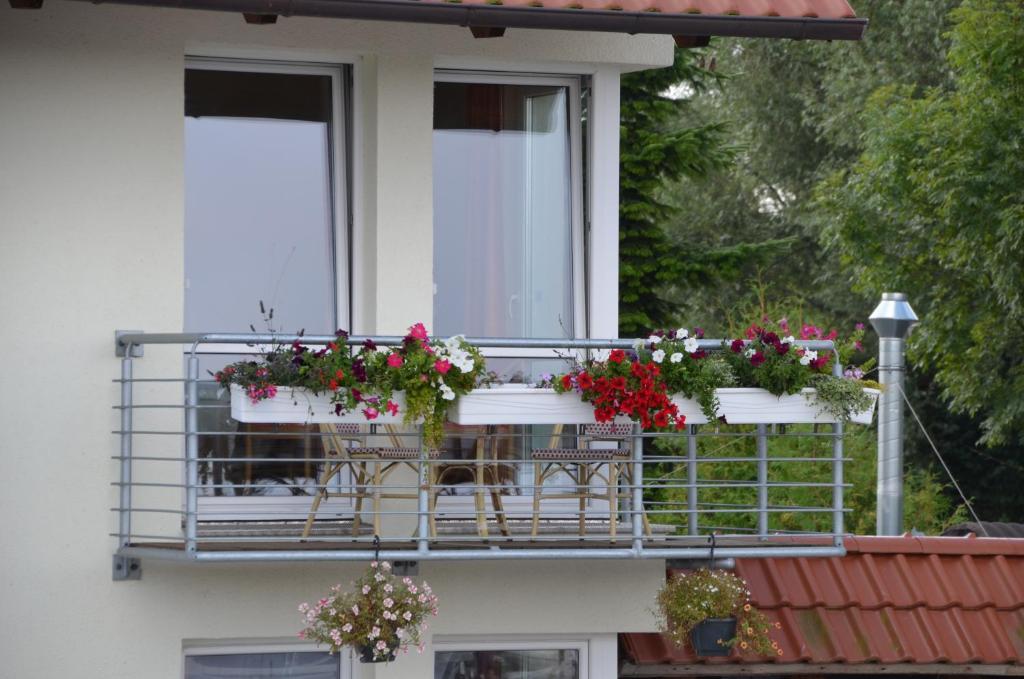 Hotel zur Brücke Greifswald Exterior foto